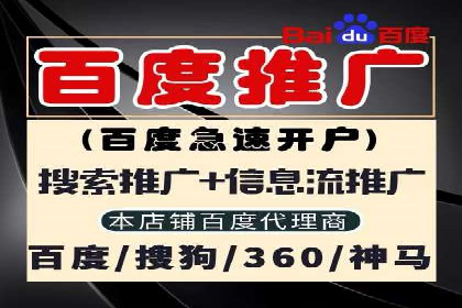 百度竞价推广运营策略：成功案例解析